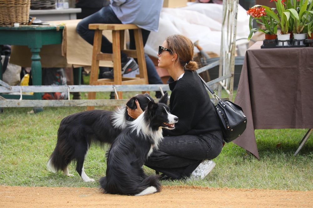 Друзья человека