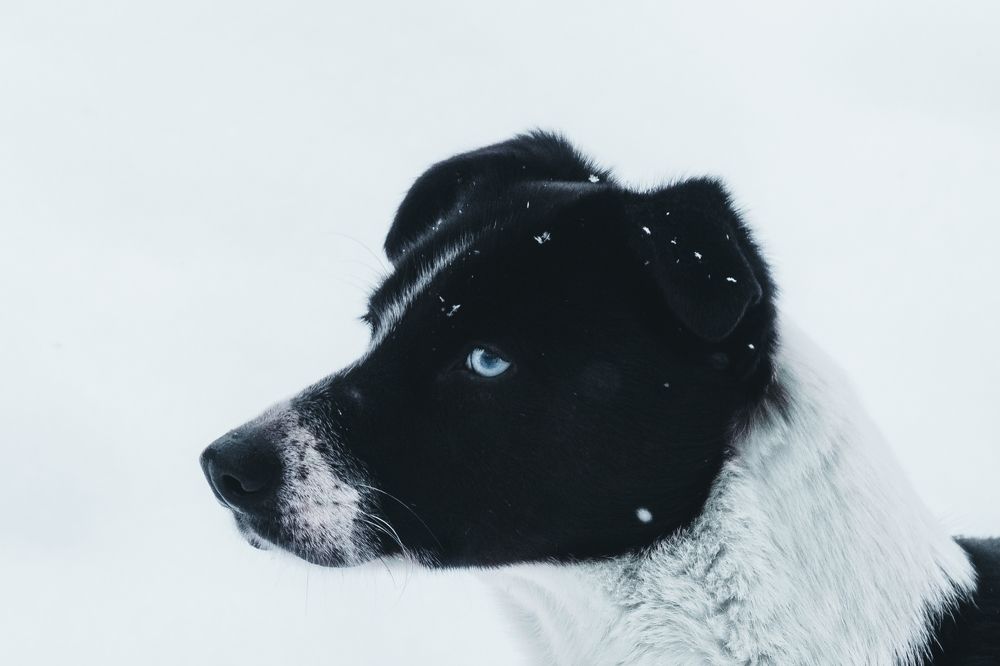 Photo #5831281