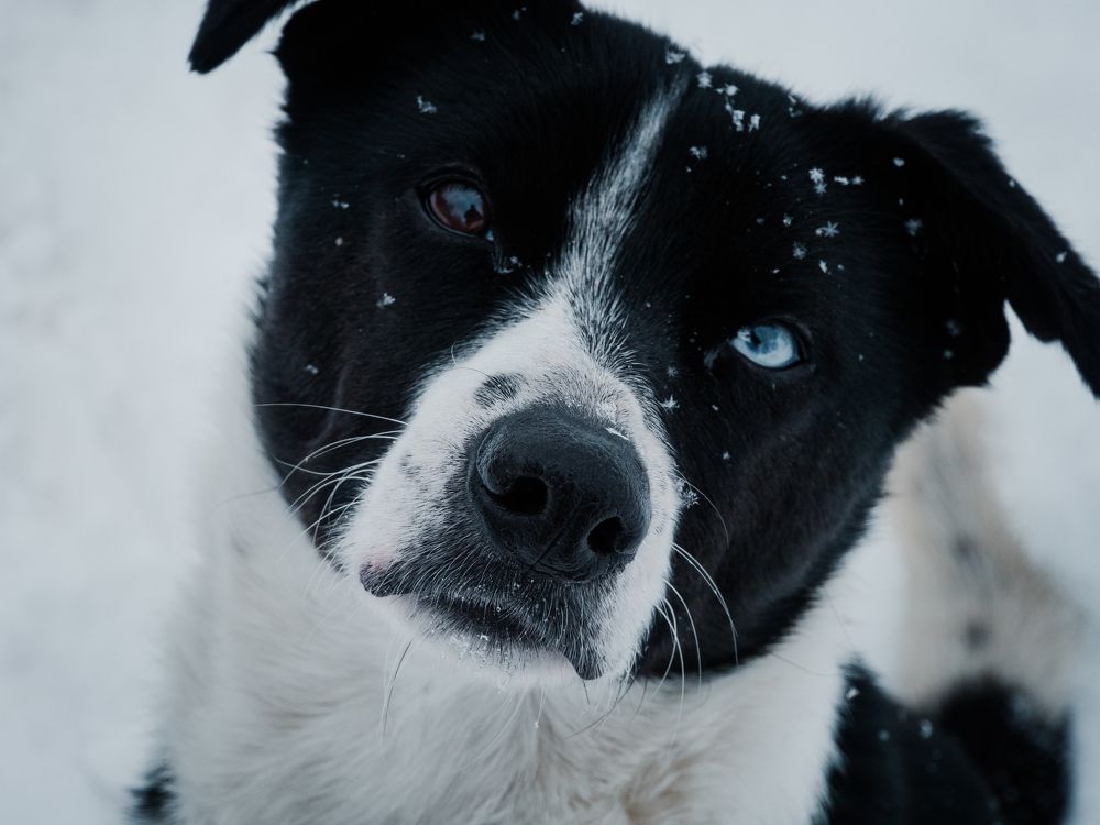 Photo #5831282