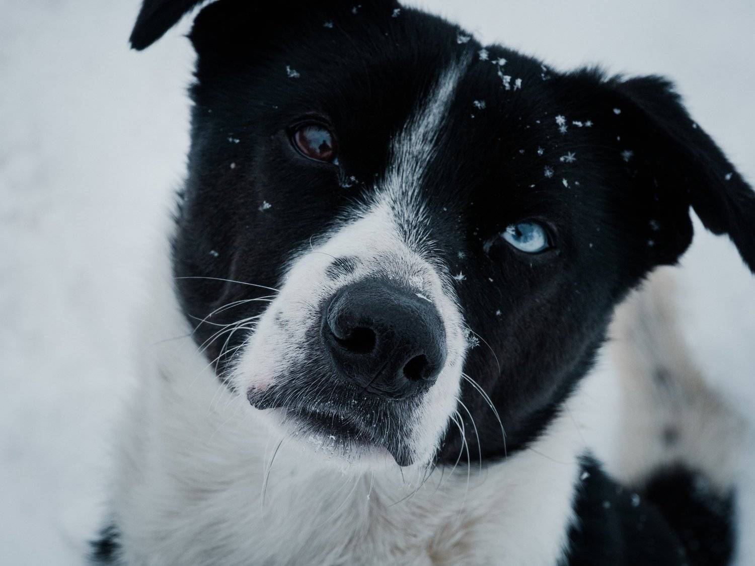 Photo #5831282