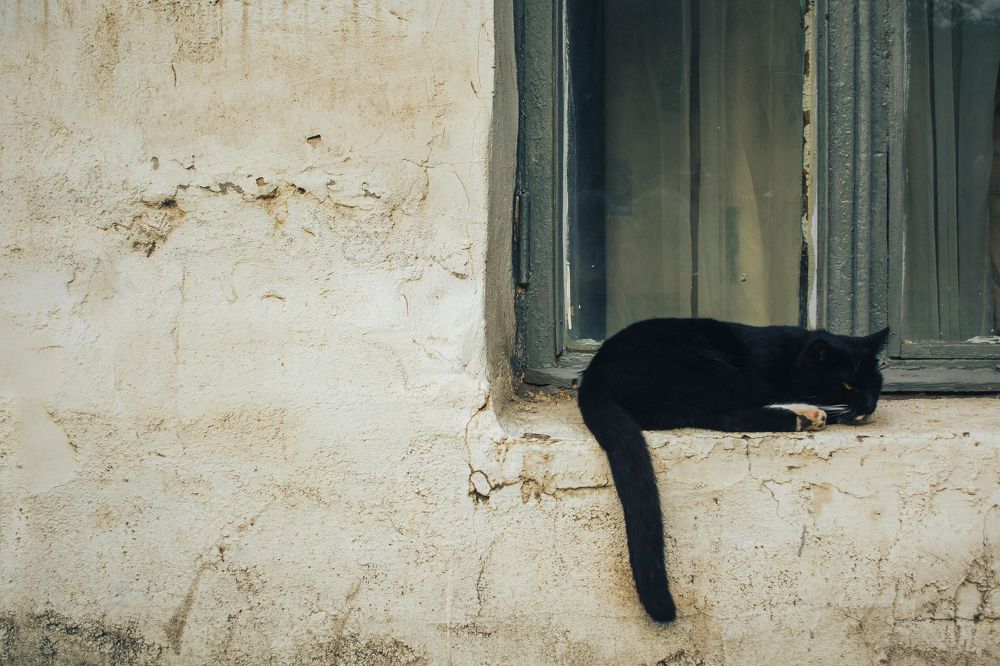 Photograph by Александр