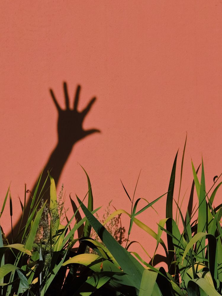 Photograph by илья Новиков