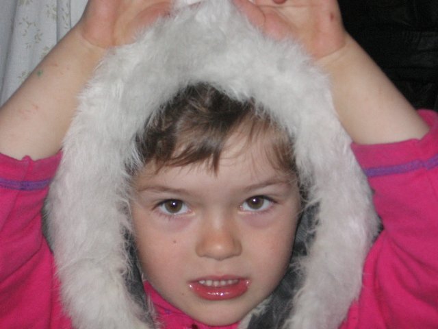 Photo #5831362