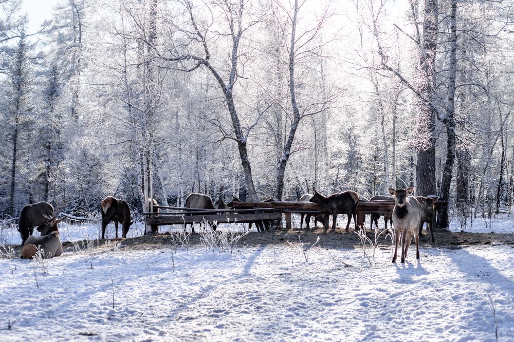 Photograph by Анастасия Демьянова