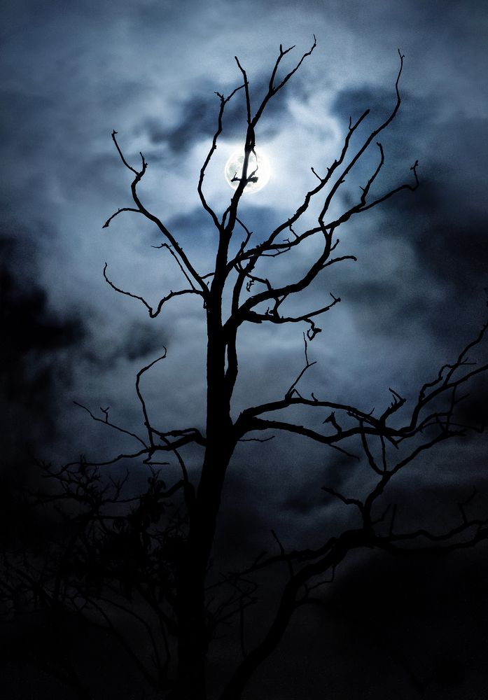 Photograph by Petr Brezna