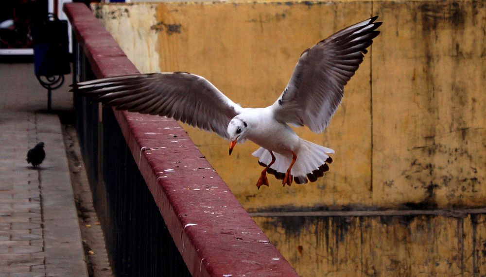 Photograph by Vlad Proshin