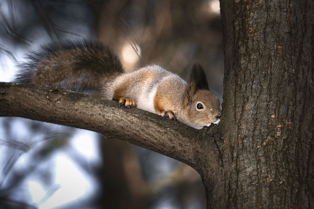 ...когда тебе охота..