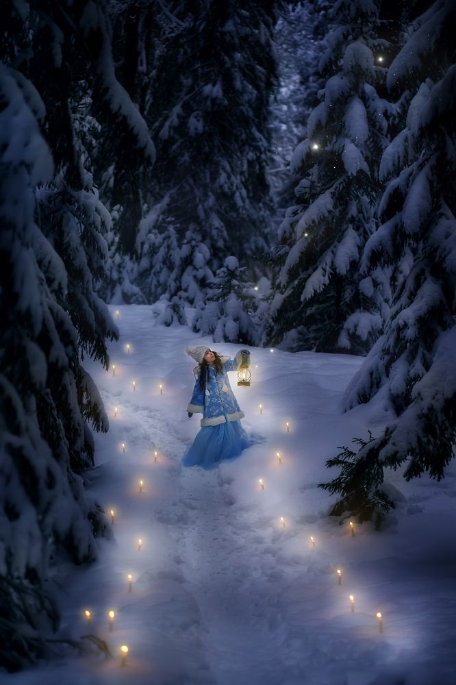 Фотография автора Елена Петрова