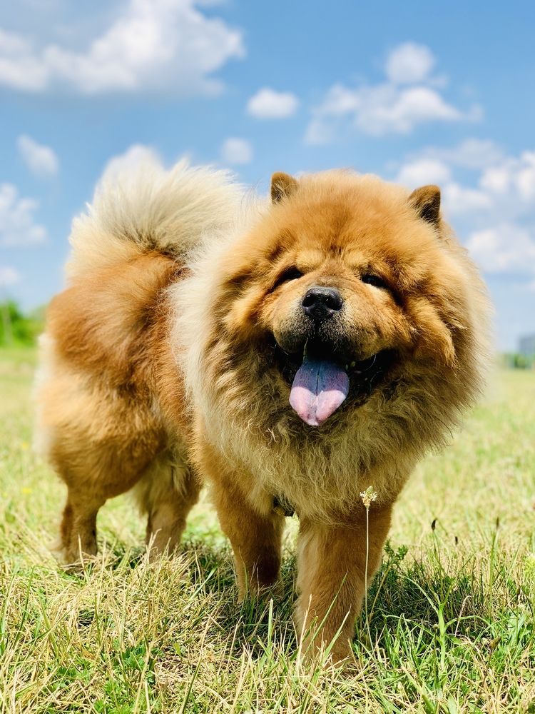 Photograph by Aleksandar Jegreski