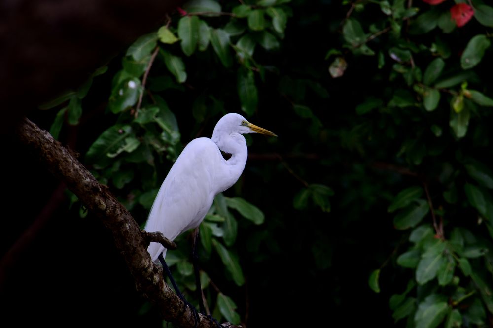 Photograph by Thinesh Manivannan