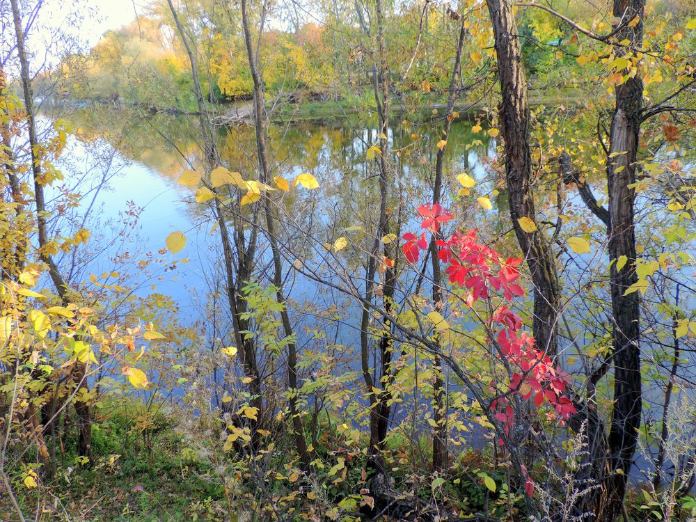 Осеннее кружево
