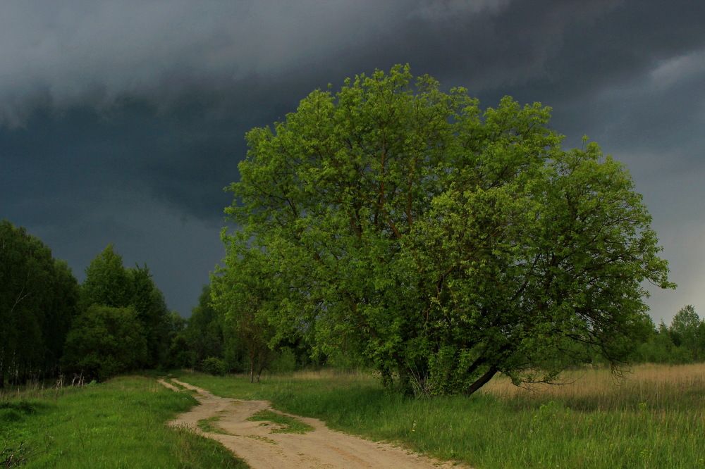 Photograph by Сергей Кожевников