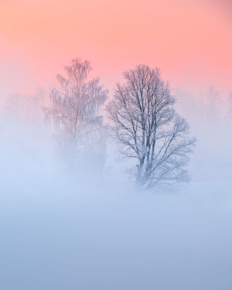 Photograph by Михаил Дубровинский