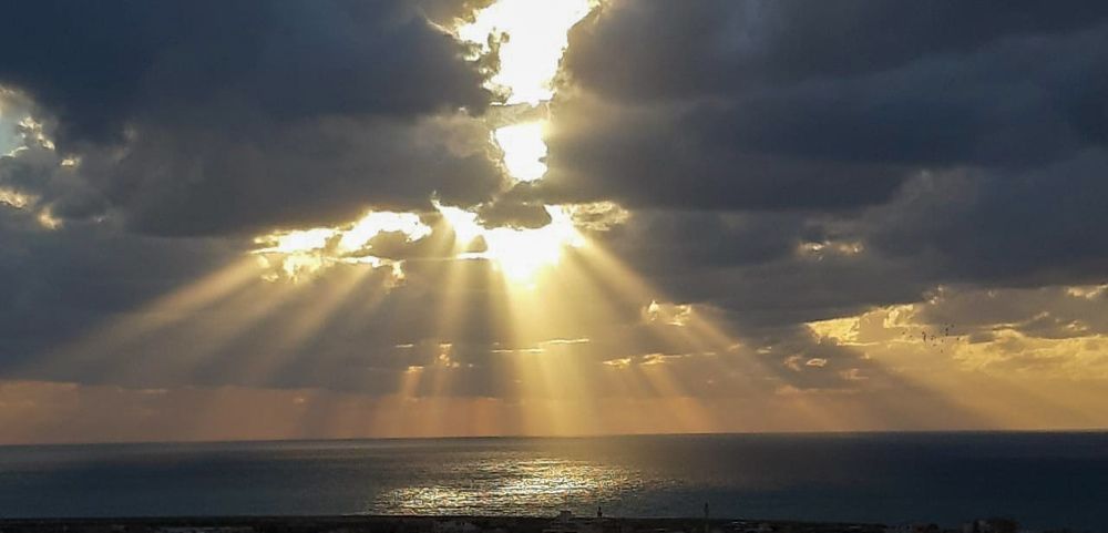 Photograph by Farah al Assir