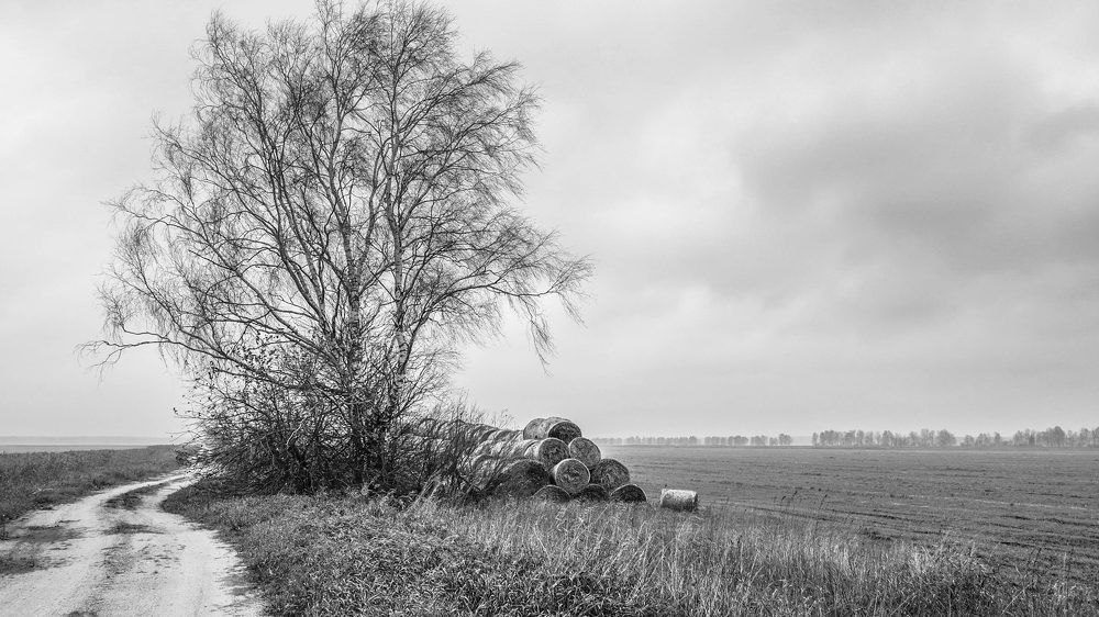 Фотография автора Александр Буренко