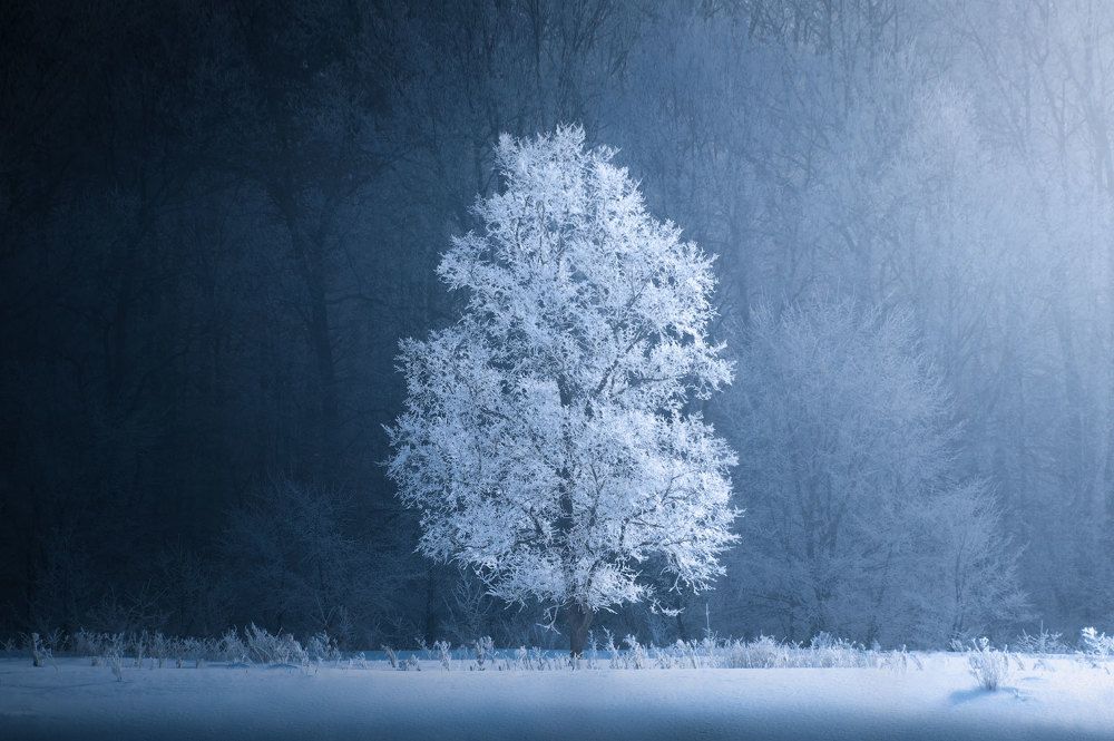 Photograph by Михаил Дубровинский