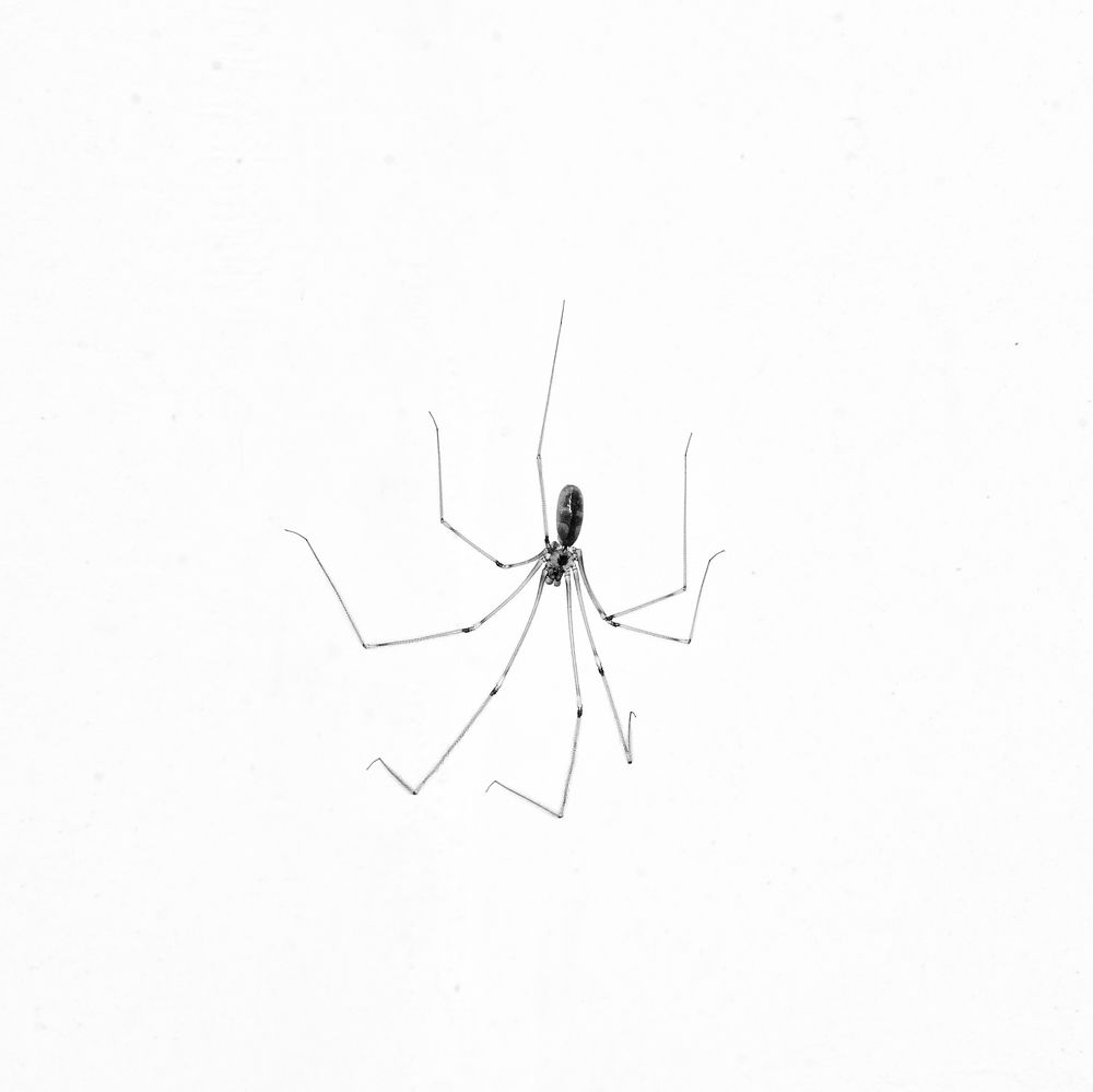 Photograph by Николай Марков