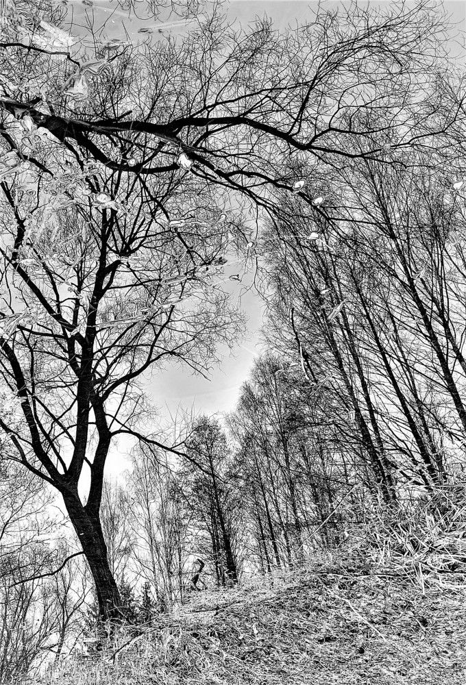 Photograph by Владимир Шнип