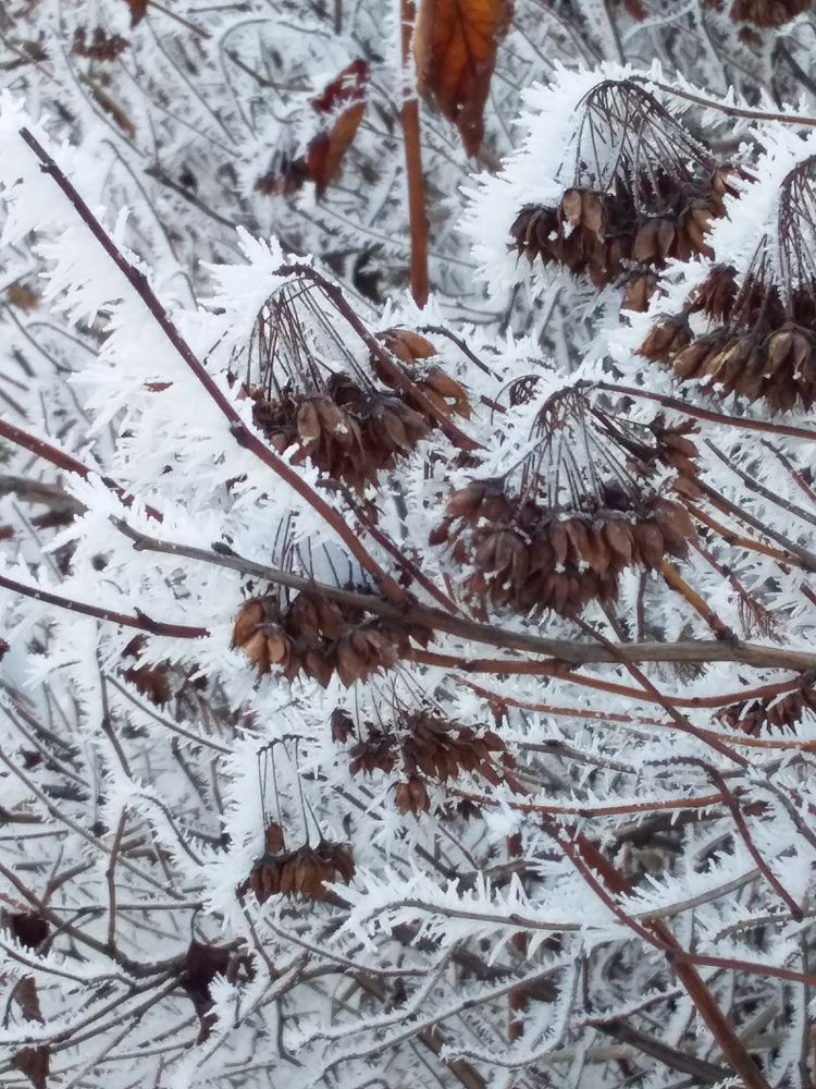 Photograph by Анастасия Кичигина