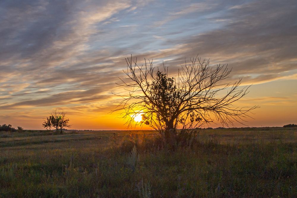 Photograph by Александр Малышев