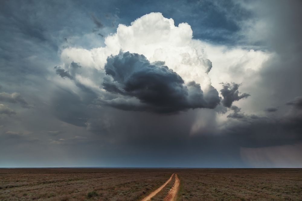 Непогода в степи