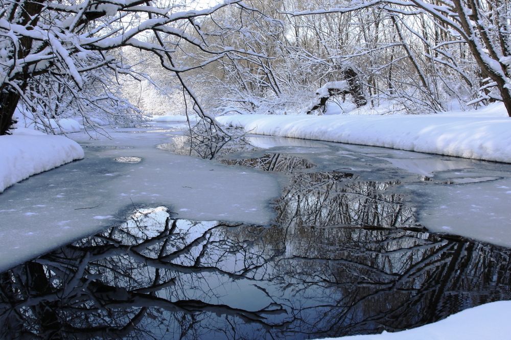 На Каменке.