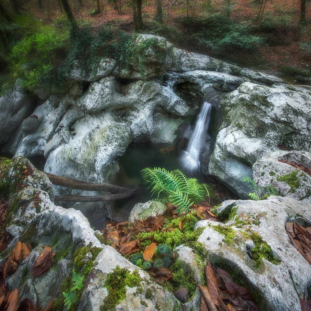 Photograph by Алексей Марголин