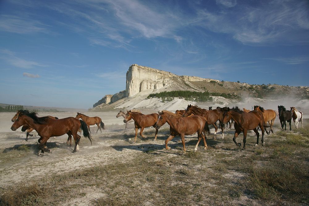 Photograph by Виталий