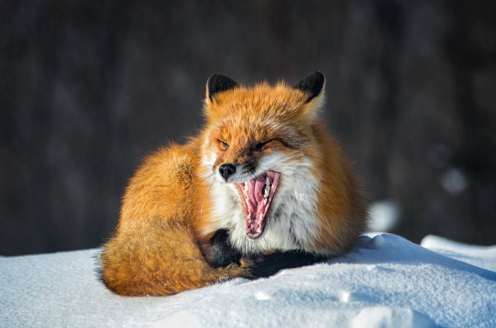 Photograph by Вероника Романенко