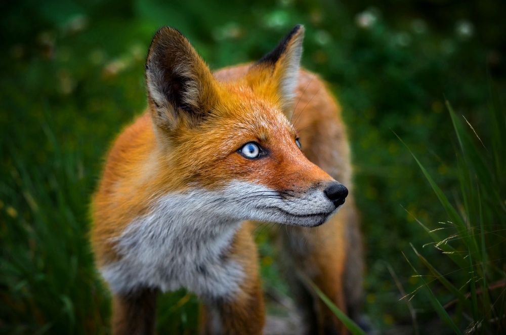 Photograph by Вероника Романенко