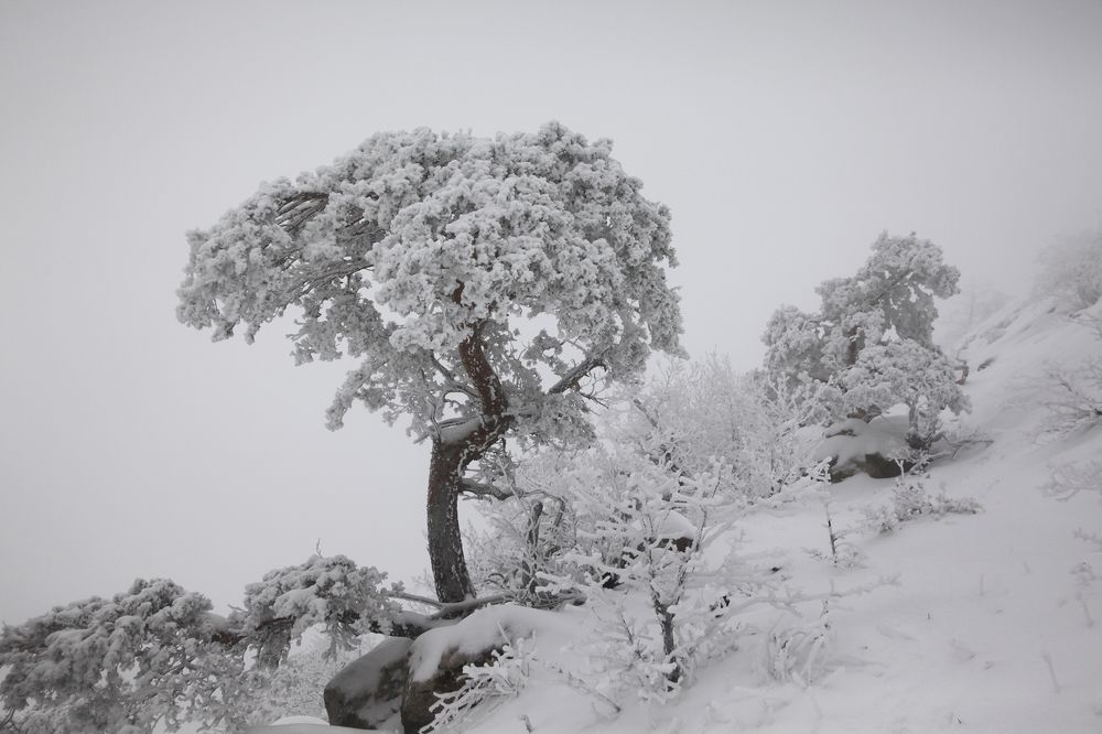 Photograph by Marat Magov