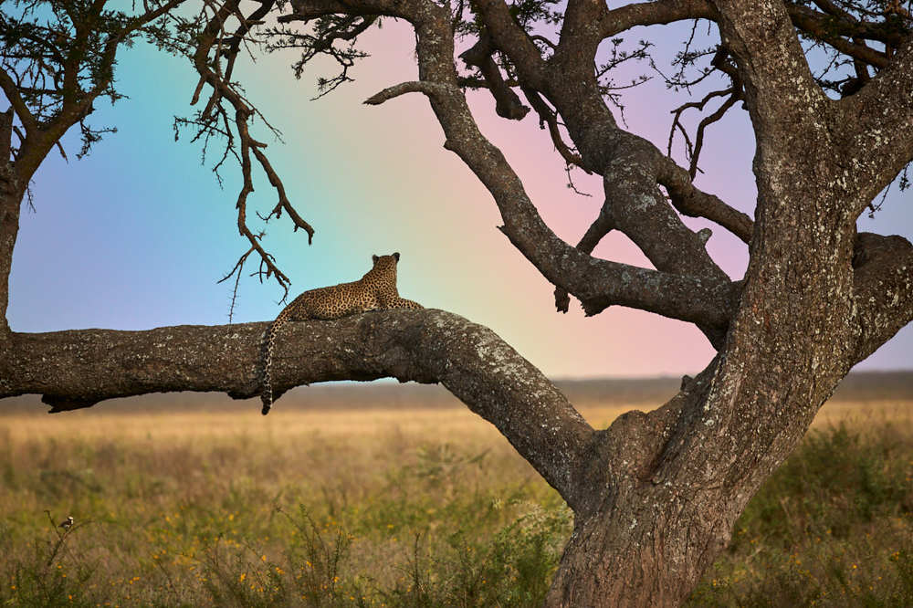 Photograph by Николай Наумов