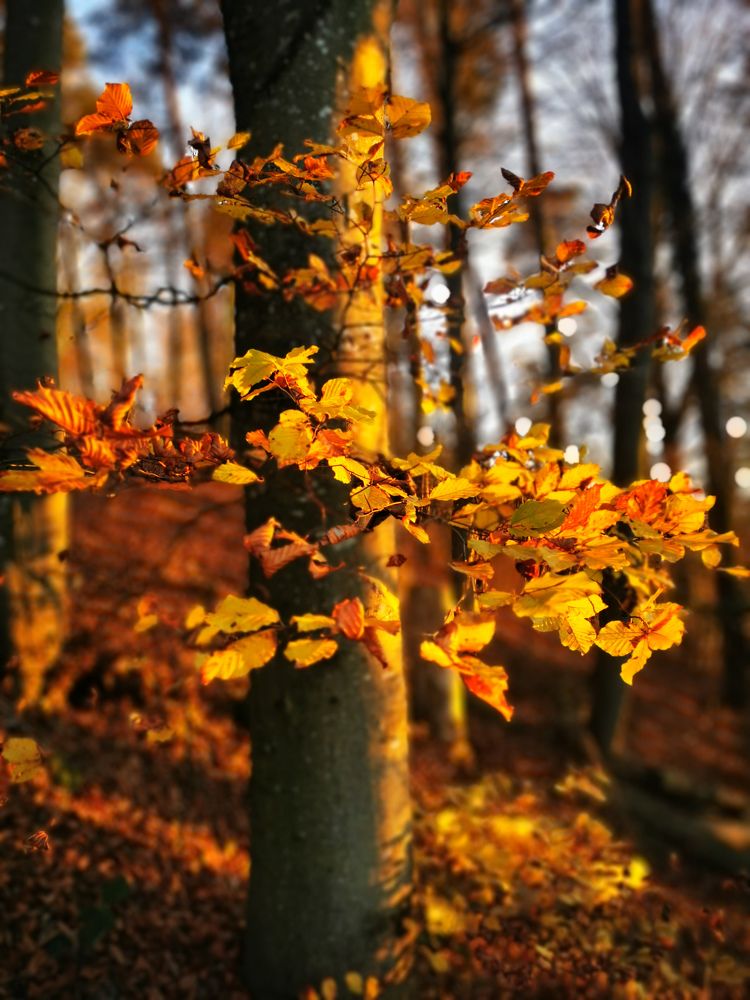 Photograph by Natalya  Podymahina