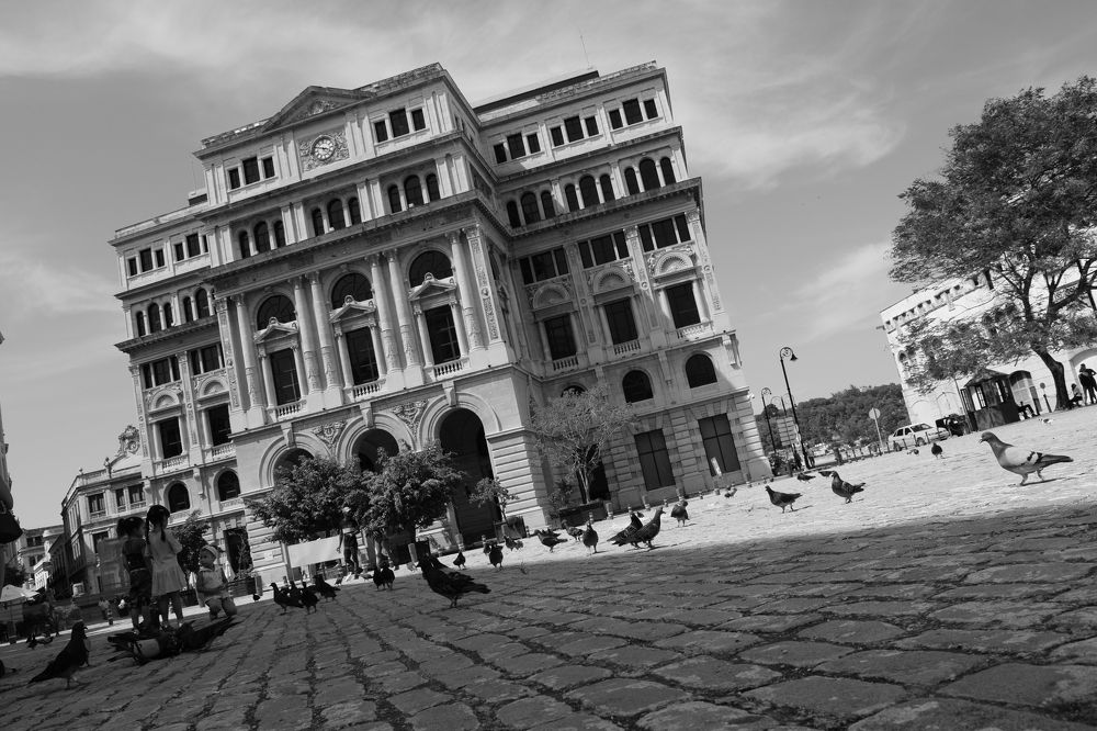 Photograph by Alain Báez Farias