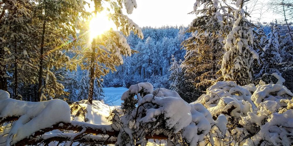 Photograph by Женя Евсеева