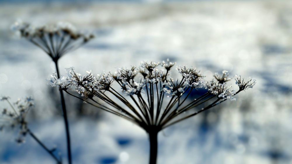 Photograph by Нияз Мирхайдаров