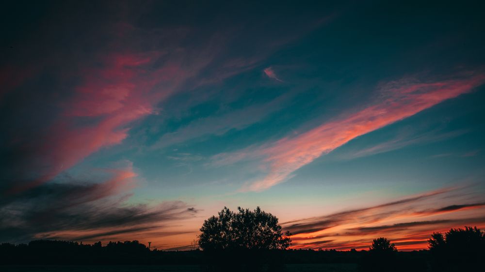 Фотография автора Владислав Рудков