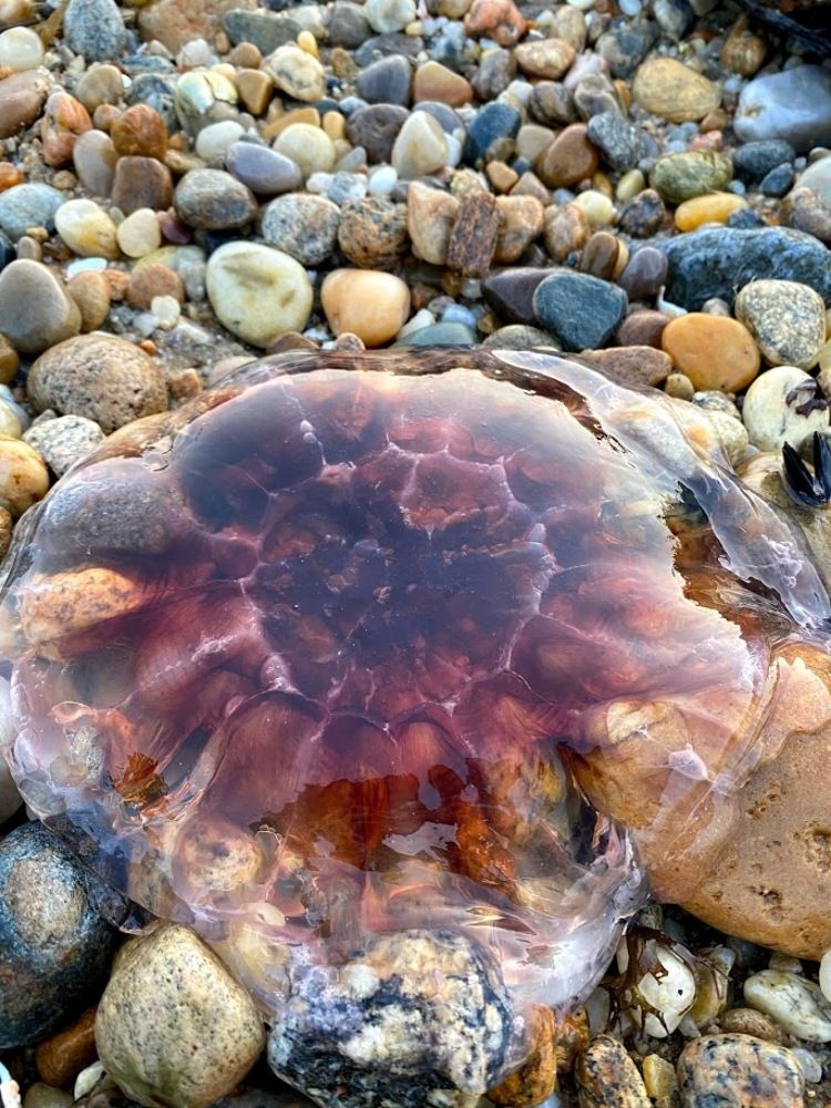 Photograph by Толкун Асаналы