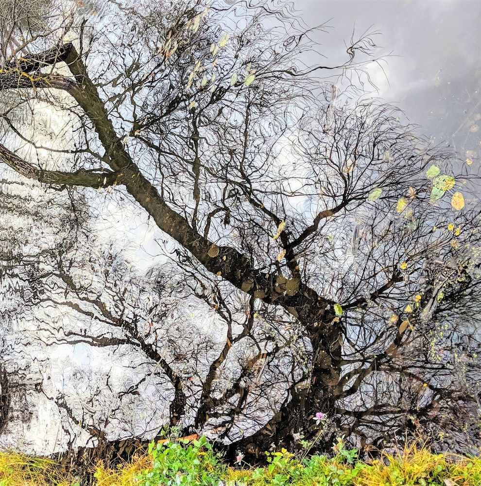 Photograph by Владимир Шнип