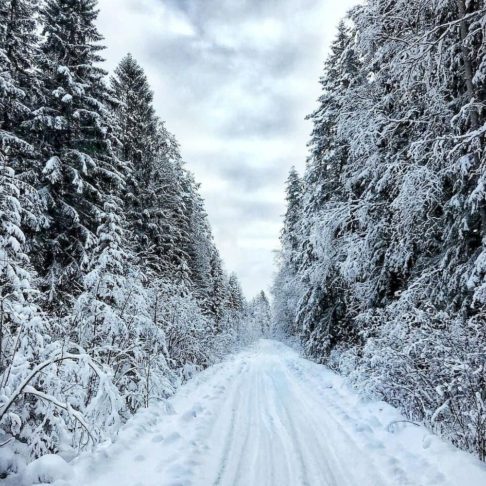 Photograph by Валерий Ташкин