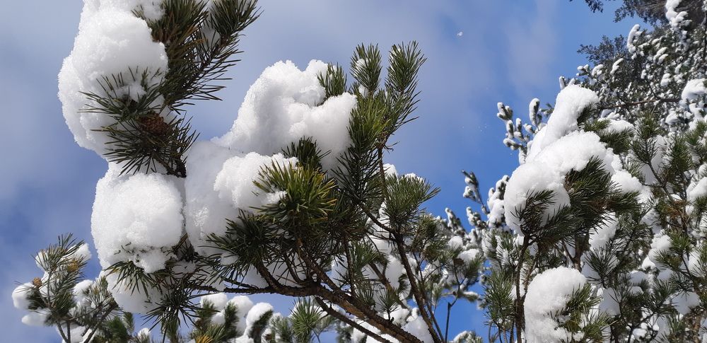 Photograph by Федоров