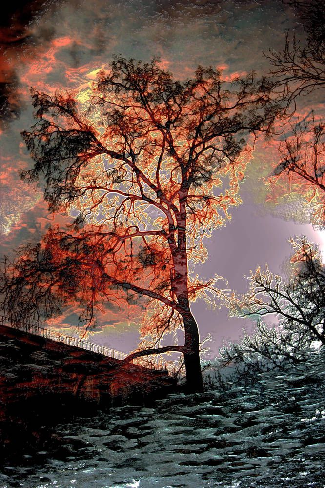 Унесенные ветром