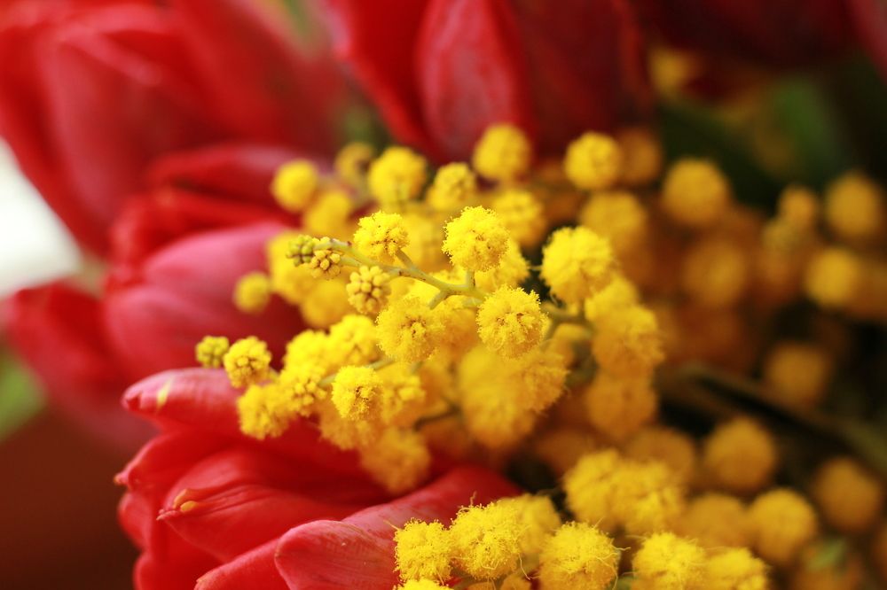 Photograph by Людмила Панченко