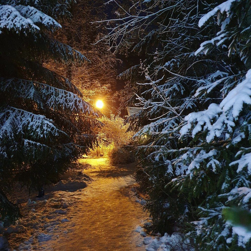 Photograph by Валерий Ташкин