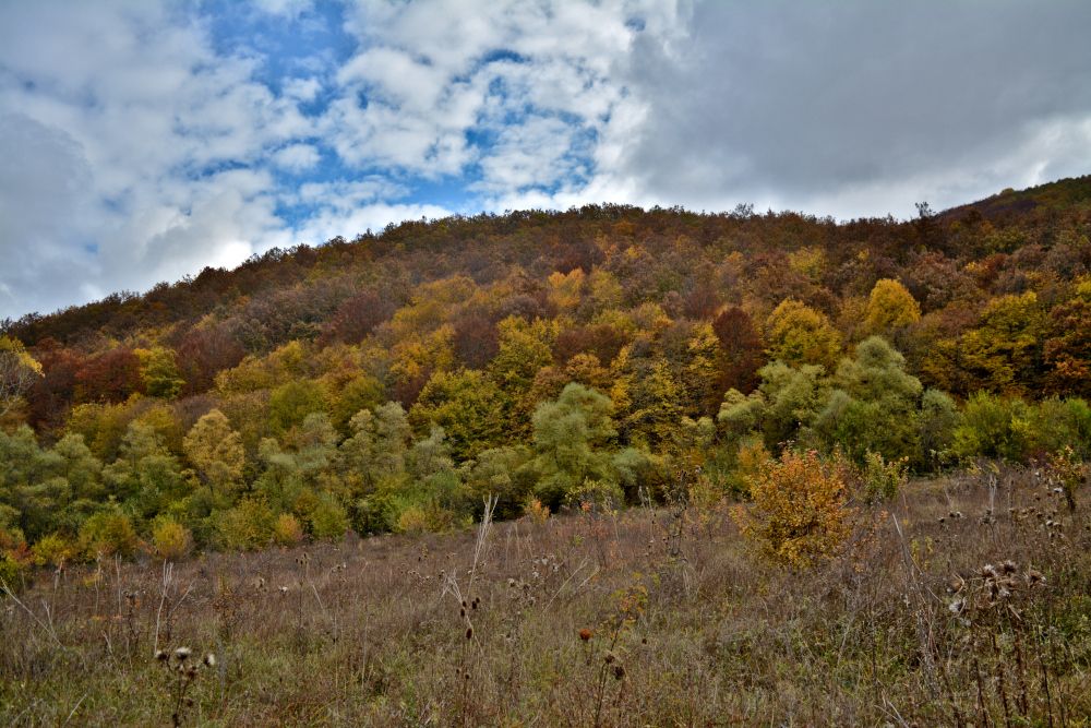 Photograph by Любомир Стойков