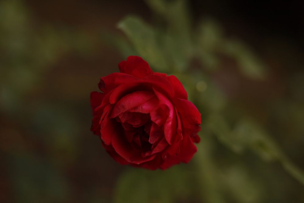 Photograph by Людмила Панченко