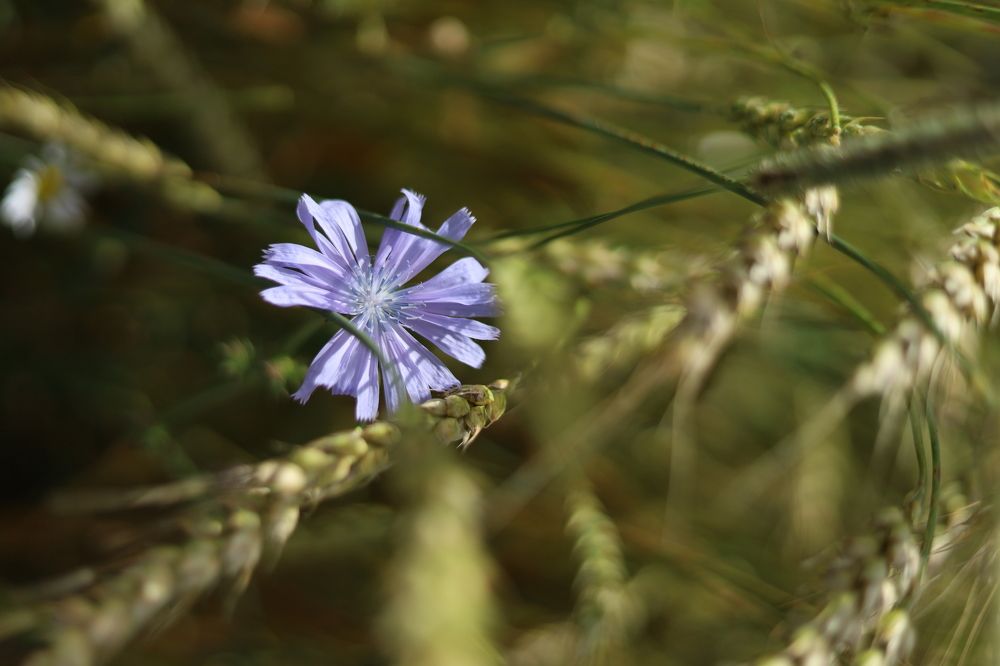 Photograph by Людмила Панченко