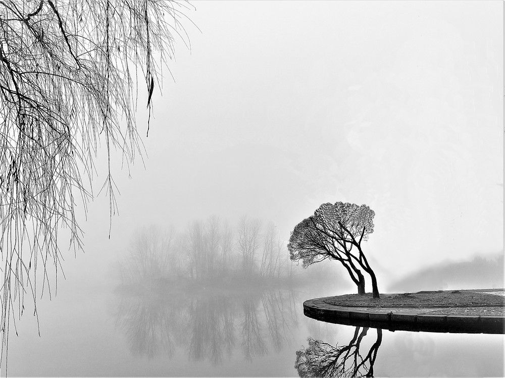 Photograph by Владимир Шнип