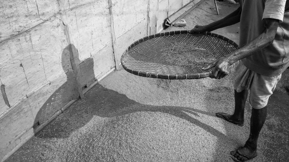 Photograph by Indranil Gayan