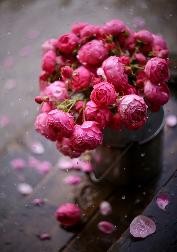 Photograph by Татьяна Кытина